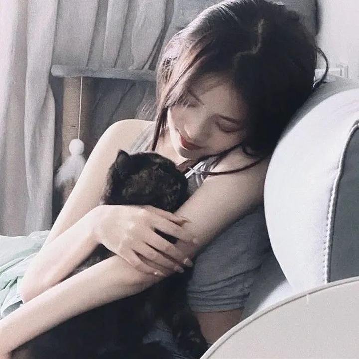 万紫千红花弄蝶